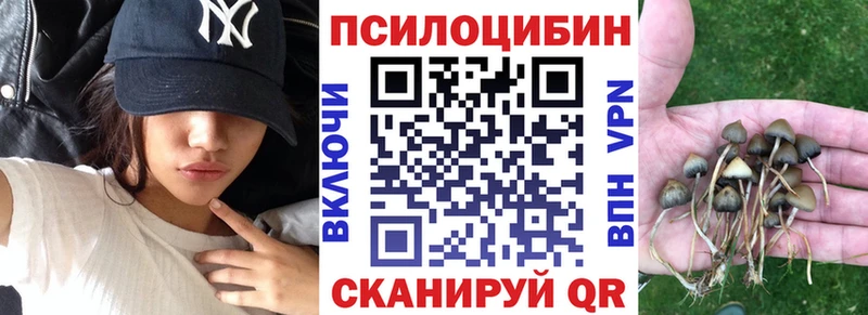 Псилоцибиновые грибы GOLDEN TEACHER  купить наркотики сайты  mega ТОР  Осинники 