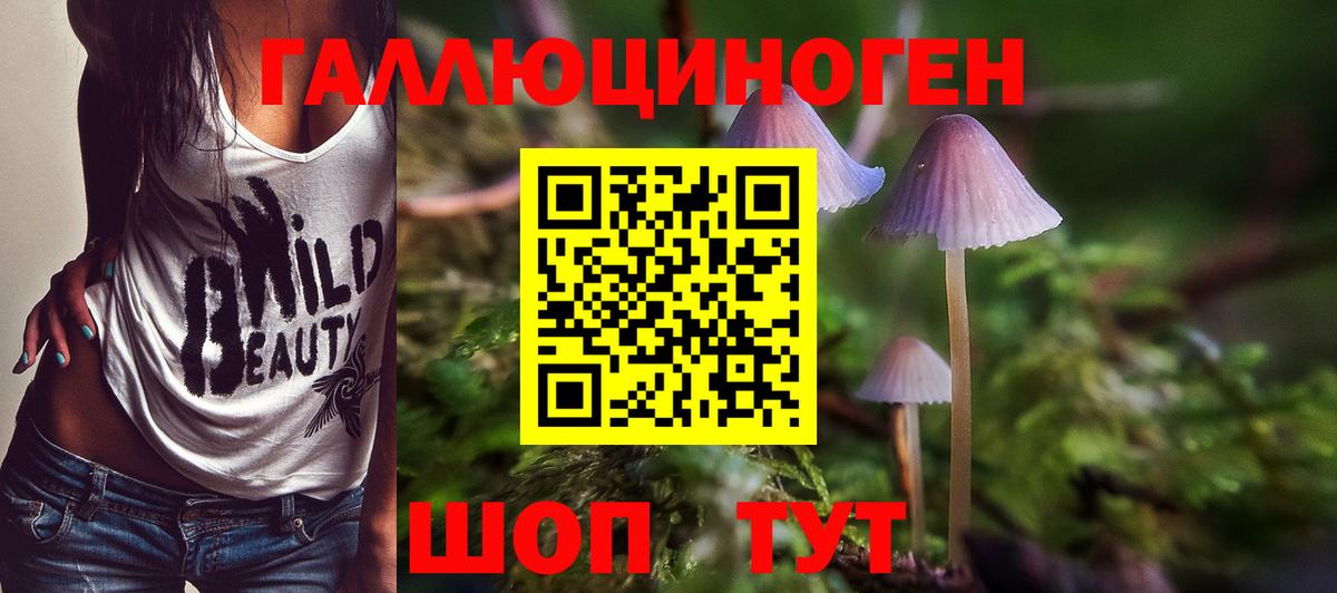 Осинники  Галлюциногенные грибы Psilocybine cubensis  Галлюциногенные грибы прущие грибы  Вход с VPN 