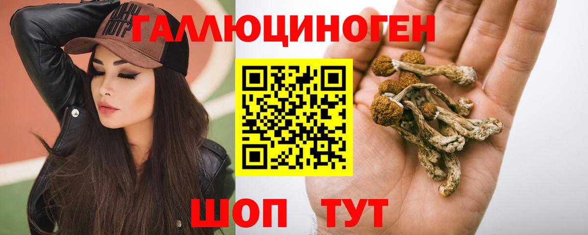 Галлюциногенные грибы GOLDEN TEACHER Осинники